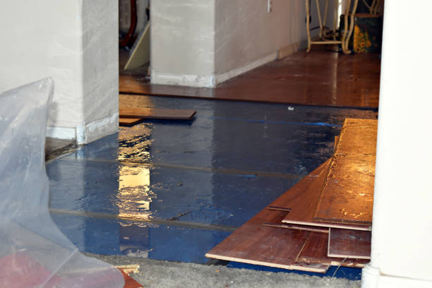 Professional Basement Flood Cleanup technician working in Geddes, SD